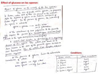 Effect of glucose on lac operon:
Conditions
 