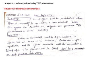 Lac operon can be explained using TWO phenomena:
Induction and Repression Phenomena
 
