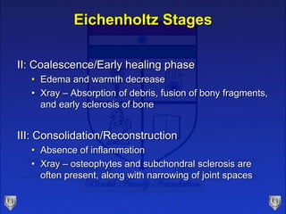 Eichenholtz Stages
II: Coalescence/Early healing phase
• Edema and warmth decrease
• Xray – Absorption of debris, fusion of bony fragments,
and early sclerosis of bone
III: Consolidation/Reconstruction
• Absence of inflammation
• Xray – osteophytes and subchondral sclerosis are
often present, along with narrowing of joint spaces
 