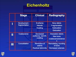 Eichenholtz
Stage Clinical Radiography
I Development-
fragmentation
Erythema
Warmth
Swelling
Bony debris
Fragmentation
Subluxation
Dislocation
II Coalescence Decreased
erythema, warmth,
swelling
Absorption debris
New bone
Coalescence/sclerosi
s
III Consolidation Resolution of
edema
Residual deformity
Remodeling, rounding
of bone
Decreased sclerosis
 