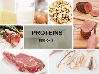 PROTEINS
SESSION 3
 