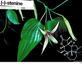 ©Christian Puff
Angew. Chem. Int. Ed., 1996, 35, 904
(–)-stenine
N
O
H
H
H H
O
H
28
 