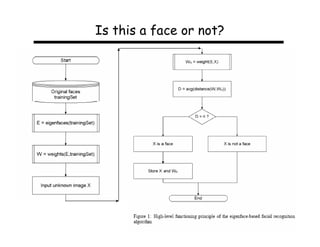 Is this a face or not?
 