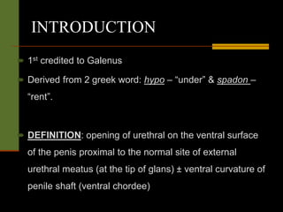 INTRODUCTION
 1st credited to Galenus
 Derived from 2 greek word: hypo – “under” & spadon –
“rent”.
 DEFINITION: opening of urethral on the ventral surface
of the penis proximal to the normal site of external
urethral meatus (at the tip of glans) ± ventral curvature of
penile shaft (ventral chordee)
 