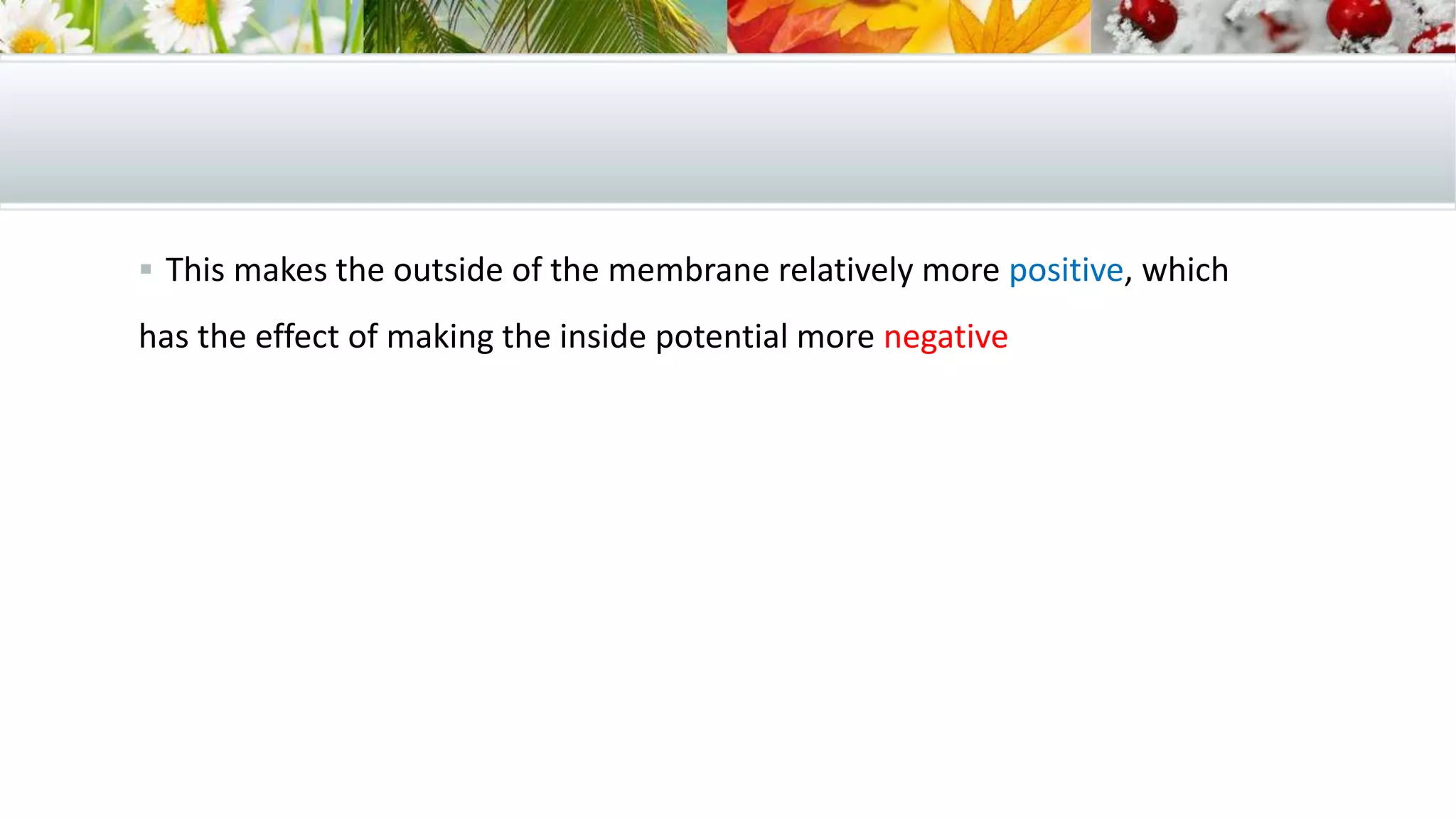  This makes the outside of the membrane relatively more positive, which
has the effect of making the inside potential more negative
 