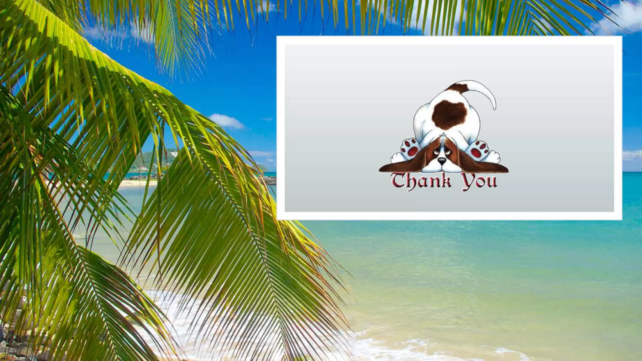 Biophysics Basics in Electrotherapy