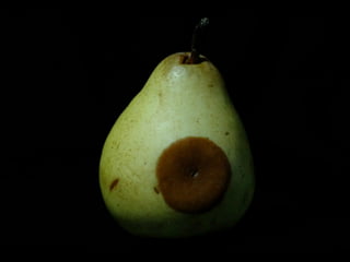 Slides by Jonathan Eisen for BIS2C at UC Davis Spring 2016 1
 