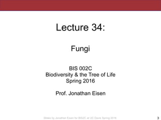 Slides by Jonathan Eisen for BIS2C at UC Davis Spring 2016
Lecture 34:
Fungi
BIS 002C
Biodiversity & the Tree of Life
Spri...