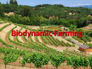 Comprehensive Guide to Biodynamic Farming Principles and Practices | PPT