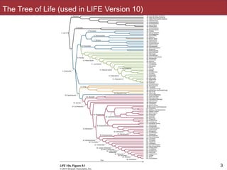 Slides by Jonathan Eisen for BIS2C at UC Davis Spring 2014
The Tree of Life (used in LIFE Version 10)
3
 