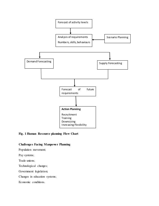 Human Resource Planning Flow Chart