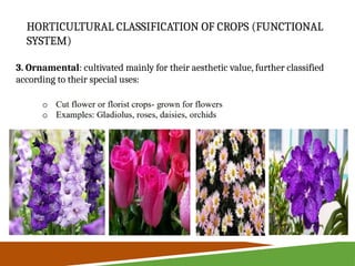LECTURE 3 AGRIFISHERY FROM THE LEARNING MODULE OF AGRIFISHERY ARTS ...