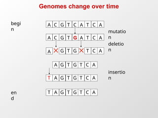 Dynamic Programming Gene Alignment Comprehensive Guide to Sequence Alignment and Dynamic Programming in ...