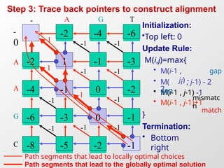 Segment Alignment Comprehensive Guide to Sequence Alignment and Dynamic Programming in ...