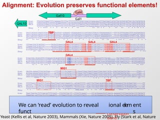 Comprehensive Guide to Sequence Alignment and Dynamic Programming in ...