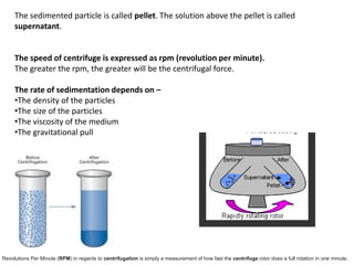 The sedimented particle is called pellet. The solution above the pellet is called
supernatant.
The speed of centrifuge is expressed as rpm (revolution per minute).
The greater the rpm, the greater will be the centrifugal force.
The rate of sedimentation depends on –
•The density of the particles
•The size of the particles
•The viscosity of the medium
•The gravitational pull
Revolutions Per Minute (RPM) in regards to centrifugation is simply a measurement of how fast the centrifuge rotor does a full rotation in one minute.
 
