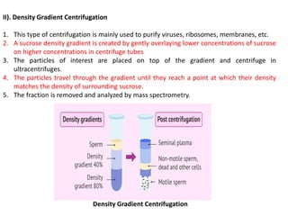 II). Density Gradient Centrifugation
1. This type of centrifugation is mainly used to purify viruses, ribosomes, membranes, etc.
2. A sucrose density gradient is created by gently overlaying lower concentrations of sucrose
on higher concentrations in centrifuge tubes
3. The particles of interest are placed on top of the gradient and centrifuge in
ultracentrifuges.
4. The particles travel through the gradient until they reach a point at which their density
matches the density of surrounding sucrose.
5. The fraction is removed and analyzed by mass spectrometry.
Density Gradient Centrifugation
 