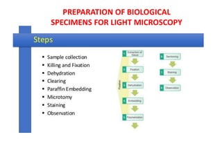PREPARATION OF BIOLOGICAL
SPECIMENS FOR LIGHT MICROSCOPY
 