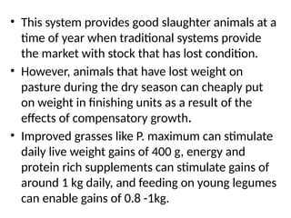 • This system provides good slaughter animals at a
time of year when traditional systems provide
the market with stock that has lost condition.
• However, animals that have lost weight on
pasture during the dry season can cheaply put
on weight in finishing units as a result of the
effects of compensatory growth.
• Improved grasses like P. maximum can stimulate
daily live weight gains of 400 g, energy and
protein rich supplements can stimulate gains of
around 1 kg daily, and feeding on young legumes
can enable gains of 0.8 -1kg.
 