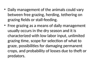 • Daily management of the animals could vary
between free grazing, herding, tethering on
grazing fields or stall-feeding.
• Free grazing as a means of daily management
usually occurs in the dry season and it is
characterized with low labor input, unlimited
grazing time, scope for selection of what to
graze, possibilities for damaging permanent
crops, and probability of losses due to theft or
predators.
 