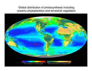 Global distribution of photosynthesis including
oceanic phytoplankton and terrestrial vegetation
 