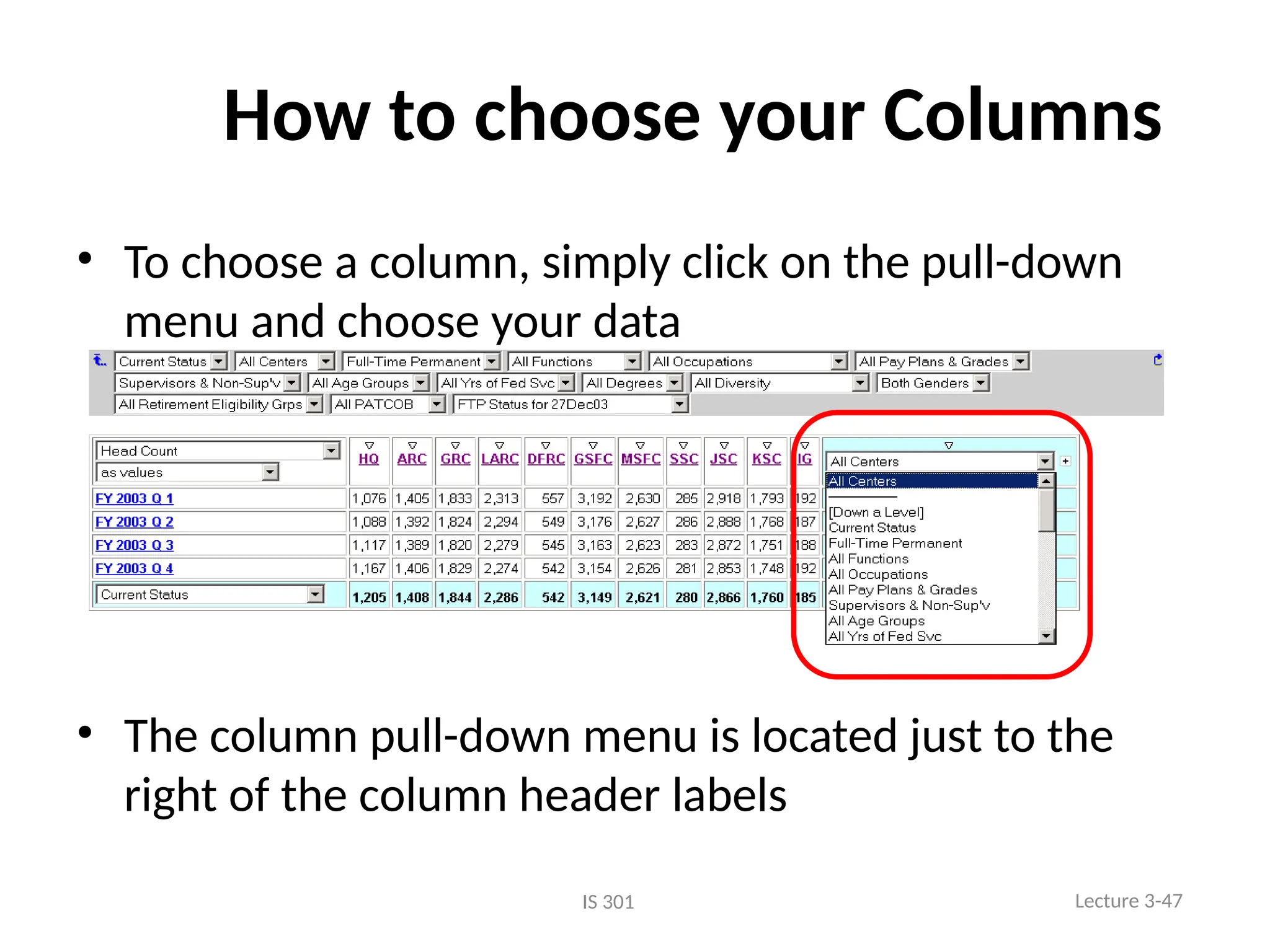 How to choose your Columns
• To choose a column, simply click on the pull-down
menu and choose your data
• The column pull-down menu is located just to the
right of the column header labels
Lecture 3-47
IS 301
 
