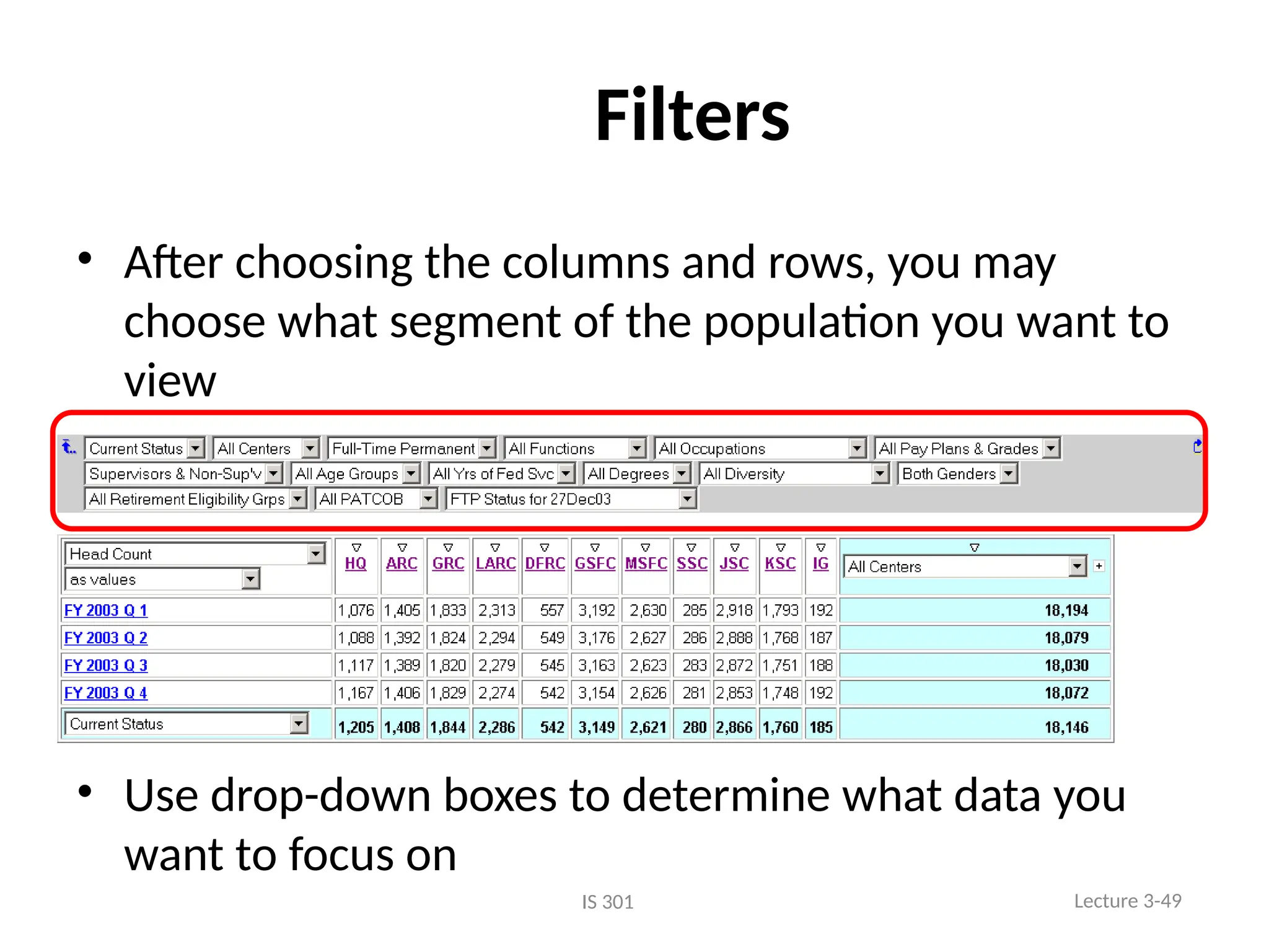 Filters
• After choosing the columns and rows, you may
choose what segment of the population you want to
view
• Use drop-down boxes to determine what data you
want to focus on
Lecture 3-49
IS 301
 