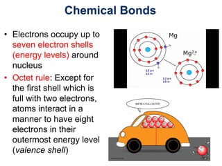 Chemical Bonds
• Electrons occupy up to
seven electron shells
(energy levels) around
nucleus
• Octet rule: Except for
the first shell which is
full with two electrons,
atoms interact in a
manner to have eight
electrons in their
outermost energy level
(valence shell)
 