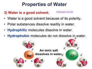 20
Properties of Water
3) Water is a good solvent.
• Water is a good solvent because of its polarity.
• Polar substances dissolve readily in water.
• Hydrophilic molecules dissolve in water.
• Hydrophobic molecules do not dissolve in water.
H
H
H H H
H H
H H H
H
An ionic salt
dissolves in water.
H H
Cl–
Na+
O
O
O O
O O
Hydrogen bonds
 