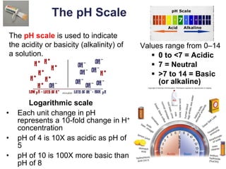 24
The pH Scale
Values range from 0–14
▪ 0 to <7 = Acidic
▪ 7 = Neutral
▪ >7 to 14 = Basic
(or alkaline)
The pH scale is used to indicate
the acidity or basicity (alkalinity) of
a solution.
Logarithmic scale
• Each unit change in pH
represents a 10-fold change in H+
concentration
• pH of 4 is 10X as acidic as pH of
5
• pH of 10 is 100X more basic than
pH of 8
 