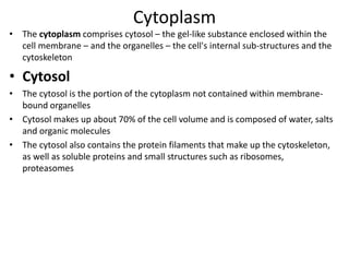 Cytoplasm
• The cytoplasm comprises cytosol – the gel-like substance enclosed within the
cell membrane – and the organelles – the cell's internal sub-structures and the
cytoskeleton
• Cytosol
• The cytosol is the portion of the cytoplasm not contained within membrane-
bound organelles
• Cytosol makes up about 70% of the cell volume and is composed of water, salts
and organic molecules
• The cytosol also contains the protein filaments that make up the cytoskeleton,
as well as soluble proteins and small structures such as ribosomes,
proteasomes
 