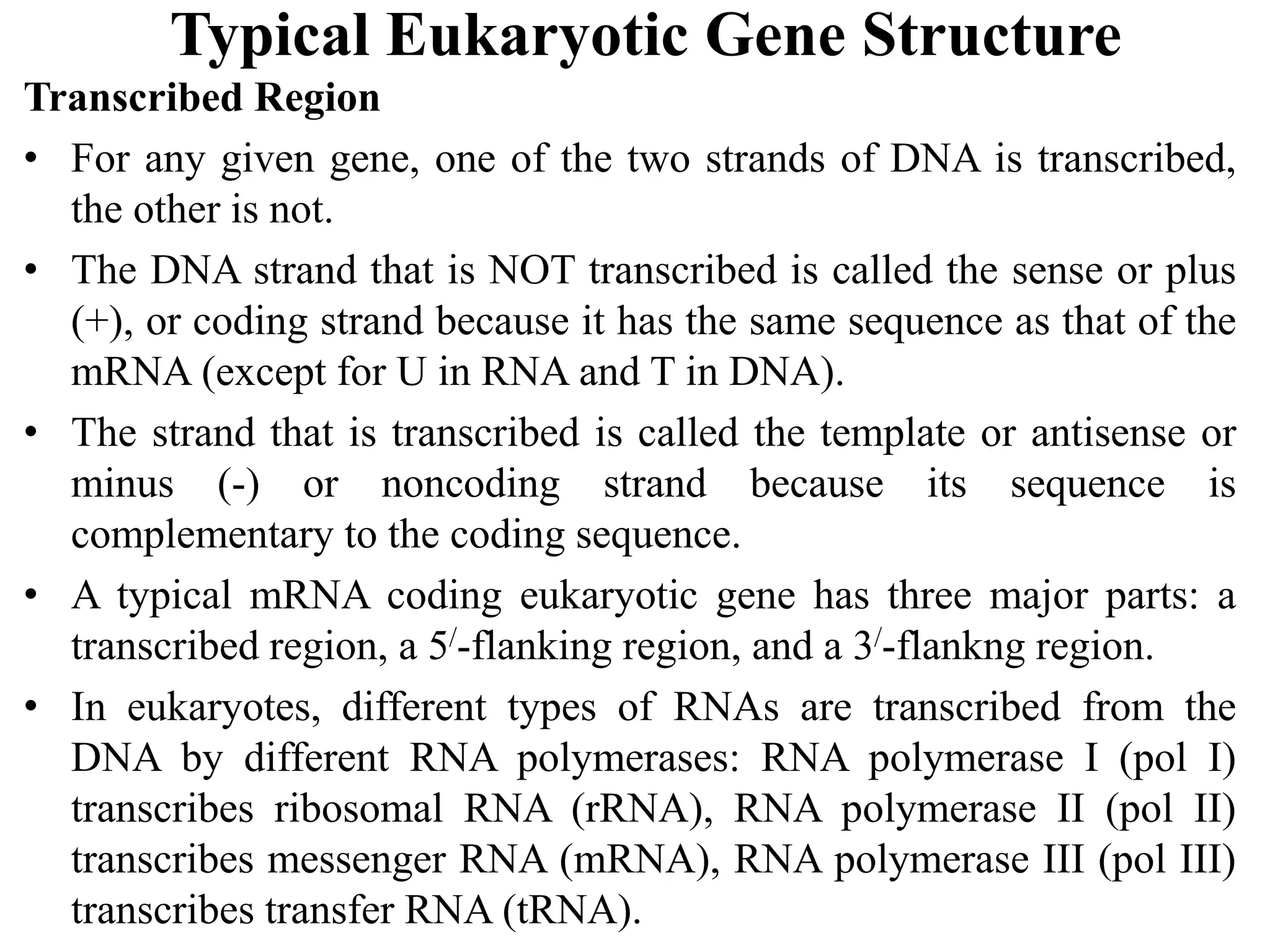 Typical Eukaryotic Gene Structure
Transcribed Region
• For any given gene, one of the two strands of DNA is transcribed,
the other is not.
• The DNA strand that is NOT transcribed is called the sense or plus
(+), or coding strand because it has the same sequence as that of the
mRNA (except for U in RNA and T in DNA).
• The strand that is transcribed is called the template or antisense or
minus (-) or noncoding strand because its sequence is
complementary to the coding sequence.
• A typical mRNA coding eukaryotic gene has three major parts: a
transcribed region, a 5/-flanking region, and a 3/-flankng region.
• In eukaryotes, different types of RNAs are transcribed from the
DNA by different RNA polymerases: RNA polymerase I (pol I)
transcribes ribosomal RNA (rRNA), RNA polymerase II (pol II)
transcribes messenger RNA (mRNA), RNA polymerase III (pol III)
transcribes transfer RNA (tRNA).
 