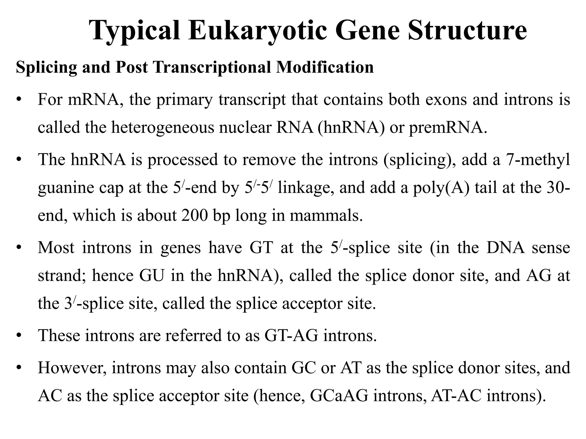 Typical Eukaryotic Gene Structure
Splicing and Post Transcriptional Modification
• For mRNA, the primary transcript that contains both exons and introns is
called the heterogeneous nuclear RNA (hnRNA) or premRNA.
• The hnRNA is processed to remove the introns (splicing), add a 7-methyl
guanine cap at the 5/-end by 5/-5/ linkage, and add a poly(A) tail at the 30-
end, which is about 200 bp long in mammals.
• Most introns in genes have GT at the 5/-splice site (in the DNA sense
strand; hence GU in the hnRNA), called the splice donor site, and AG at
the 3/-splice site, called the splice acceptor site.
• These introns are referred to as GT-AG introns.
• However, introns may also contain GC or AT as the splice donor sites, and
AC as the splice acceptor site (hence, GCaAG introns, AT-AC introns).
 