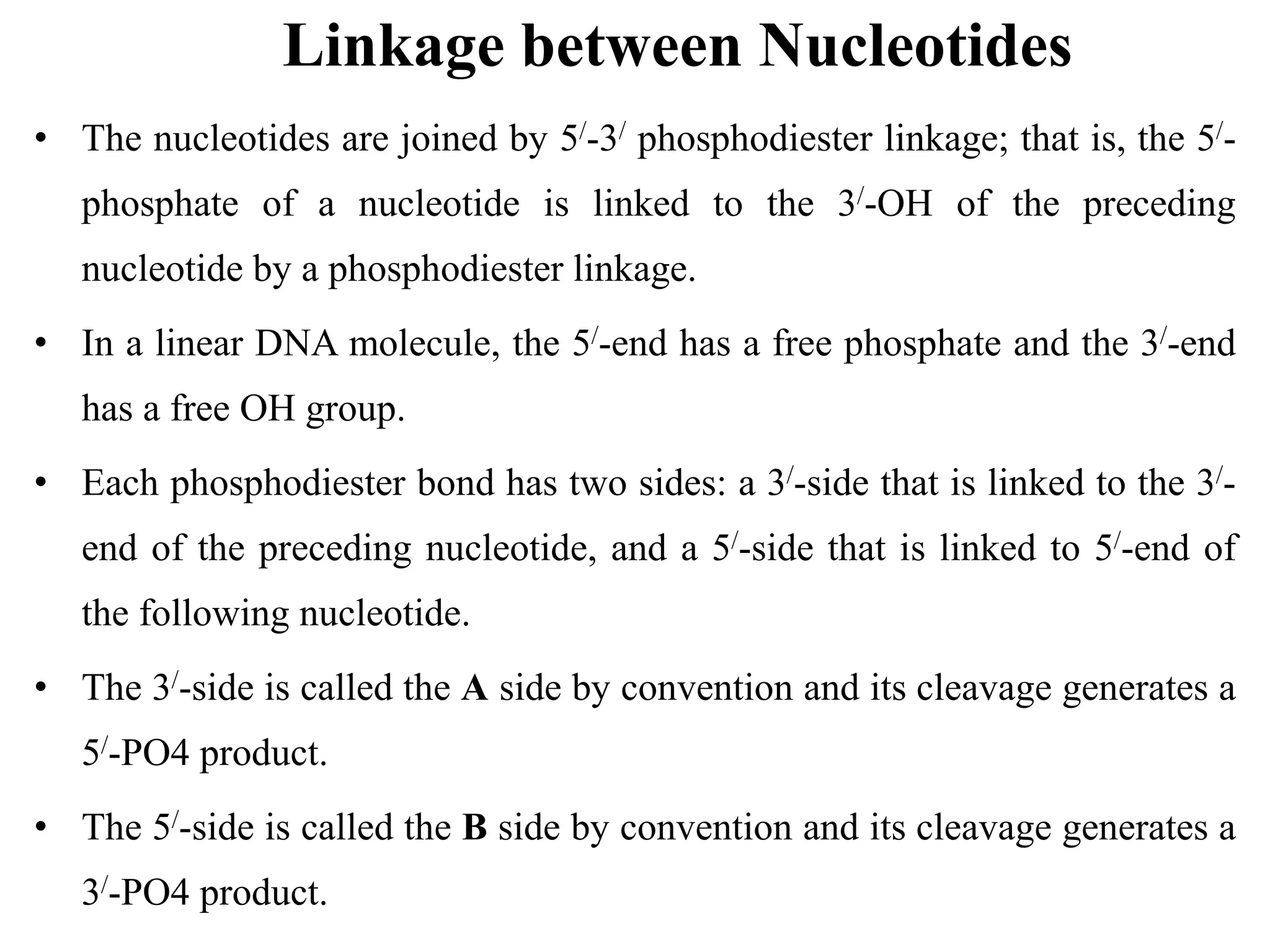 Linkage between Nucleotides
• The nucleotides are joined by 5/-3/ phosphodiester linkage; that is, the 5/-
phosphate of a nucleotide is linked to the 3/-OH of the preceding
nucleotide by a phosphodiester linkage.
• In a linear DNA molecule, the 5/-end has a free phosphate and the 3/-end
has a free OH group.
• Each phosphodiester bond has two sides: a 3/-side that is linked to the 3/-
end of the preceding nucleotide, and a 5/-side that is linked to 5/-end of
the following nucleotide.
• The 3/-side is called the A side by convention and its cleavage generates a
5/-PO4 product.
• The 5/-side is called the B side by convention and its cleavage generates a
3/-PO4 product.
 
