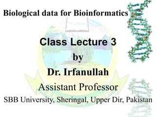 Class Lecture 3
by
Dr. Irfanullah
Assistant Professor
SBB University, Sheringal, Upper Dir, Pakistan
Biological data for Bioinformatics
 