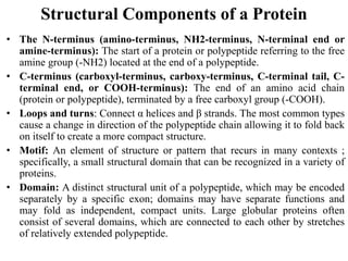 Structural Components of a Protein
• The N-terminus (amino-terminus, NH2-terminus, N-terminal end or
amine-terminus): The start of a protein or polypeptide referring to the free
amine group (-NH2) located at the end of a polypeptide.
• C-terminus (carboxyl-terminus, carboxy-terminus, C-terminal tail, C-
terminal end, or COOH-terminus): The end of an amino acid chain
(protein or polypeptide), terminated by a free carboxyl group (-COOH).
• Loops and turns: Connect α helices and β strands. The most common types
cause a change in direction of the polypeptide chain allowing it to fold back
on itself to create a more compact structure.
• Motif: An element of structure or pattern that recurs in many contexts ;
specifically, a small structural domain that can be recognized in a variety of
proteins.
• Domain: A distinct structural unit of a polypeptide, which may be encoded
separately by a specific exon; domains may have separate functions and
may fold as independent, compact units. Large globular proteins often
consist of several domains, which are connected to each other by stretches
of relatively extended polypeptide.
 
