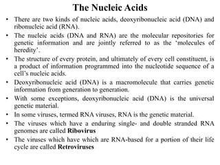The Nucleic Acids
• There are two kinds of nucleic acids, deoxyribonucleic acid (DNA) and
ribonucleic acid (RNA).
• The nucleic acids (DNA and RNA) are the molecular repositories for
genetic information and are jointly referred to as the ‘molecules of
heredity’.
• The structure of every protein, and ultimately of every cell constituent, is
a product of information programmed into the nucleotide sequence of a
cell’s nucleic acids.
• Deoxyribonucleic acid (DNA) is a macromolecule that carries genetic
information from generation to generation.
• With some exceptions, deoxyribonucleic acid (DNA) is the universal
genetic material.
• In some viruses, termed RNA viruses, RNA is the genetic material.
• The viruses which have a enduring single- and double stranded RNA
genomes are called Ribovirus
• The viruses which have which are RNA-based for a portion of their life
cycle are called Retroviruses
 