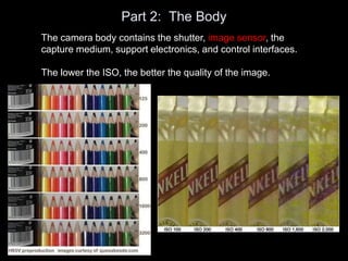 Part 2: The Body
The camera body contains the shutter, image sensor, the
capture medium, support electronics, and control interfaces.
The lower the ISO, the better the quality of the image.
 