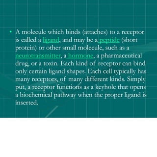 • A molecule which binds (attaches) to a receptor
is called a ligand, and may be a peptide (short
protein) or other small molecule, such as a
neurotransmitter, a hormone, a pharmaceutical
drug, or a toxin. Each kind of receptor can bind
only certain ligand shapes. Each cell typically has
many receptors, of many different kinds. Simply
put, a receptor functions as a keyhole that opens
a biochemical pathway when the proper ligand is
inserted.
 