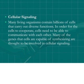 • Cellular Signaling
• Many living organisms contain billions of cells
that carry out diverse functions. In order for the
cells to cooperate, cells need to be able to
communicate with each other. Many of the
genes that cells are capable of synthesizing are
thought to be involved in cellular signaling.
 