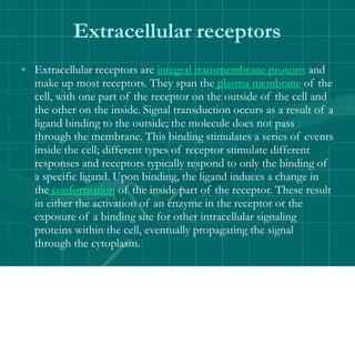 Extracellular receptors
• Extracellular receptors are integral transmembrane proteins and
make up most receptors. They span the plasma membrane of the
cell, with one part of the receptor on the outside of the cell and
the other on the inside. Signal transduction occurs as a result of a
ligand binding to the outside; the molecule does not pass
through the membrane. This binding stimulates a series of events
inside the cell; different types of receptor stimulate different
responses and receptors typically respond to only the binding of
a specific ligand. Upon binding, the ligand induces a change in
the conformation of the inside part of the receptor. These result
in either the activation of an enzyme in the receptor or the
exposure of a binding site for other intracellular signaling
proteins within the cell, eventually propagating the signal
through the cytoplasm.
 