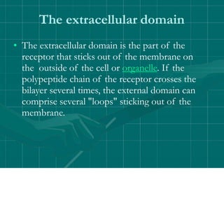 The extracellular domain
• The extracellular domain is the part of the
receptor that sticks out of the membrane on
the outside of the cell or organelle. If the
polypeptide chain of the receptor crosses the
bilayer several times, the external domain can
comprise several "loops" sticking out of the
membrane.
 