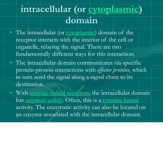 intracellular (or cytoplasmic)
domain
• The intracellular (or cytoplasmic) domain of the
receptor interacts with the interior of the cell or
organelle, relaying the signal. There are two
fundamentally different ways for this interaction:
• The intracellular domain communicates via specific
protein-protein-interactions with effector proteins, which
in turn send the signal along a signal chain to its
destination.
• With enzyme-linked receptors, the intracellular domain
has enzymatic activity. Often, this is a tyrosine kinase
activity. The enzymatic activity can also be located on
an enzyme associated with the intracellular domain.
 