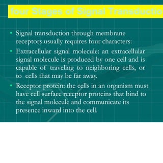 • Signal transduction through membrane
receptors usually requires four characters:
• Extracellular signal molecule: an extracellular
signal molecule is produced by one cell and is
capable of traveling to neighboring cells, or
to cells that may be far away.
• Receptor protein: the cells in an organism must
have cell surface receptor proteins that bind to
the signal molecule and communicate its
presence inward into the cell.
four Stages of Signal Transductio
 