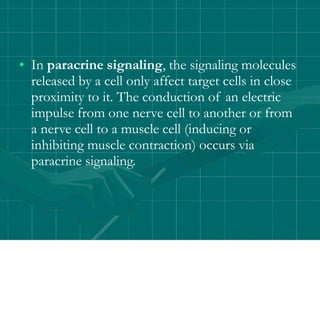 • In paracrine signaling, the signaling molecules
released by a cell only affect target cells in close
proximity to it. The conduction of an electric
impulse from one nerve cell to another or from
a nerve cell to a muscle cell (inducing or
inhibiting muscle contraction) occurs via
paracrine signaling.
 