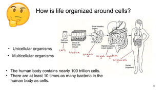 Lecture 3_CellStructureFunction_2025.pptx