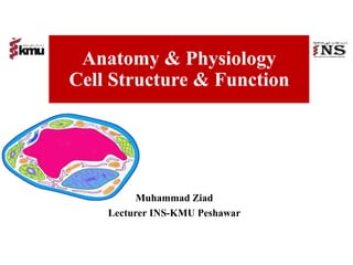 Anatomy & Physiology
Cell Structure & Function
Muhammad Ziad
Lecturer INS-KMU Peshawar
 