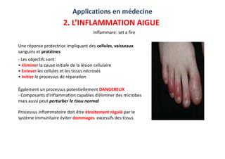 Applications en médecine
2. L’INFLAMMATION AIGUE
Inflammare: set a fire
Une réponse protectrice impliquant des cellules, v...
