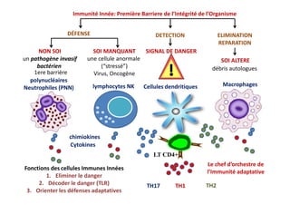 Immunité Innée: Première Barriere de l’Intégrité de l’Organisme
polynucléaires
Neutrophiles (PNN)
NON SOI
un pathogène inv...