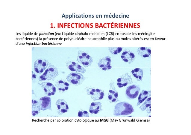 Lecture 3 Phagocytic Cells